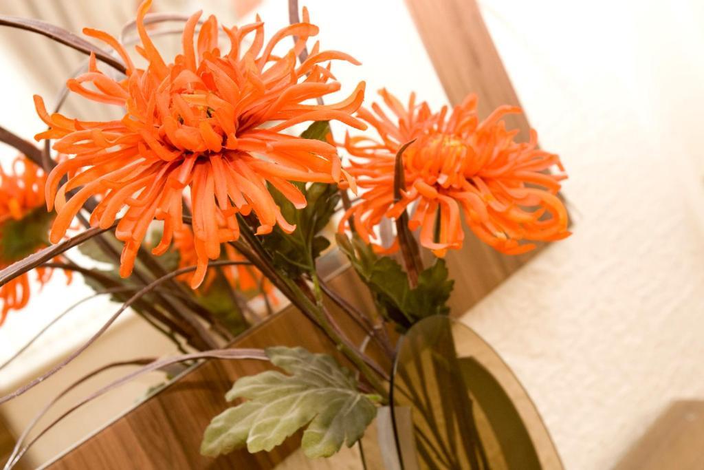 Valentine Lodge Over 21 Adult Couples Only Blackpool Zimmer foto